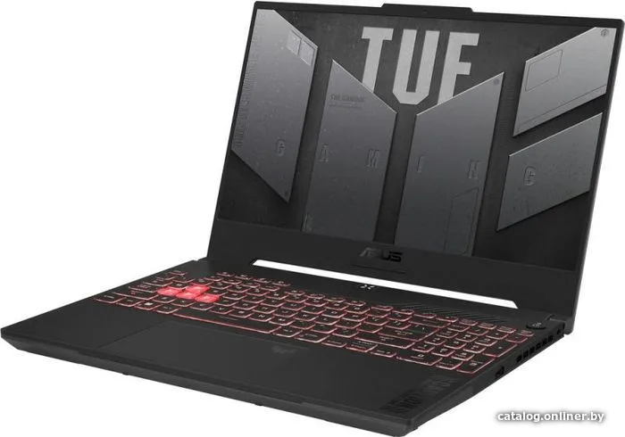 Notbuk Asus TUF Gaming FA507NU-LP037 (90NR0EB5-M008P0)